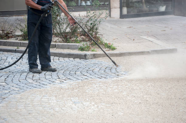 Best Animal Enclosure Cleaning  in Santa Moni, CA